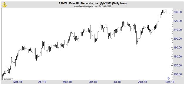 PANW daily chart